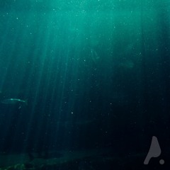 Auel - Deep Waters