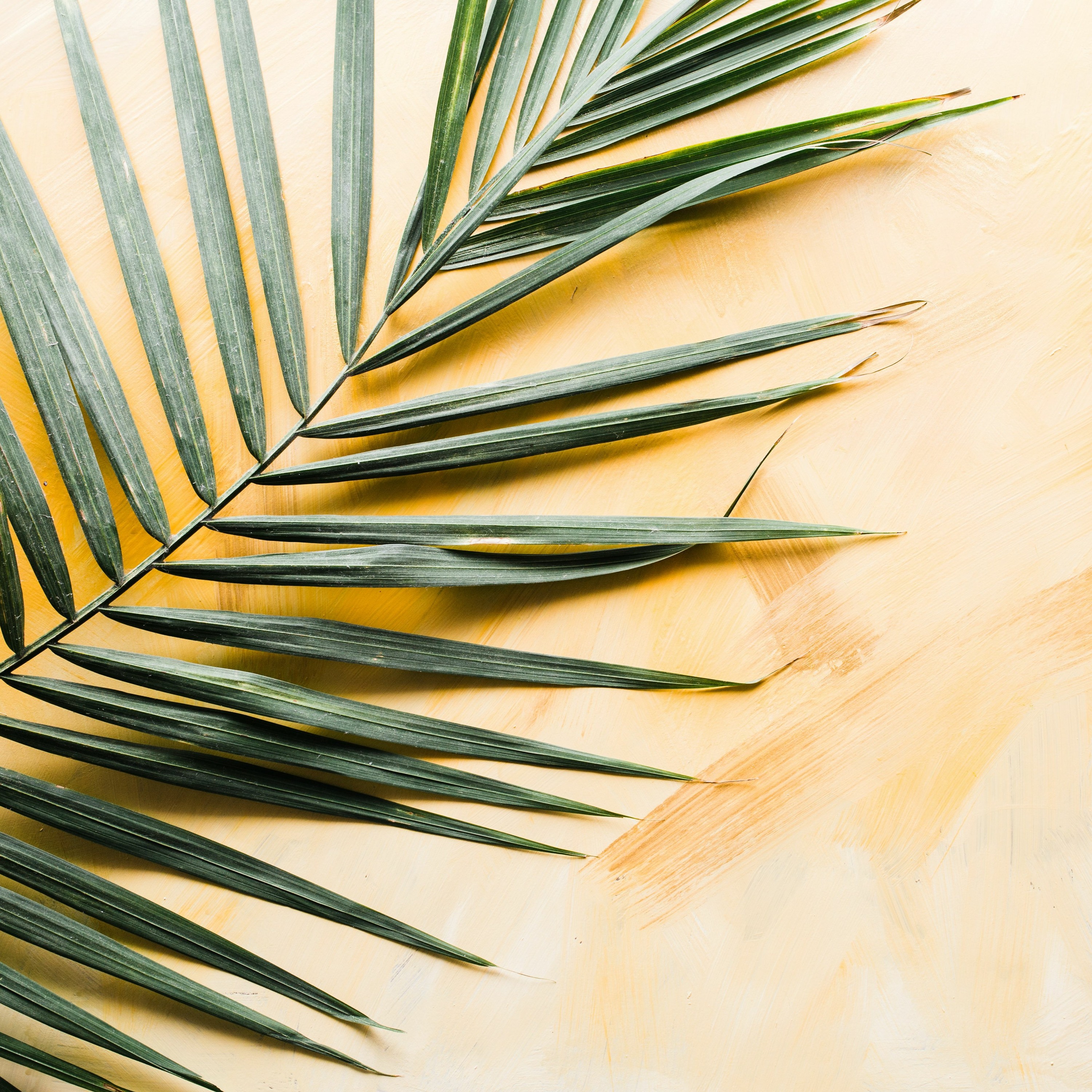 Sermons from Pinelands Baptist