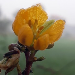 TURKISH SAZ RAP BEAT INSTRUMENTAL ►AYNA◄  Turkish Trap Enxs Beats - Downlo