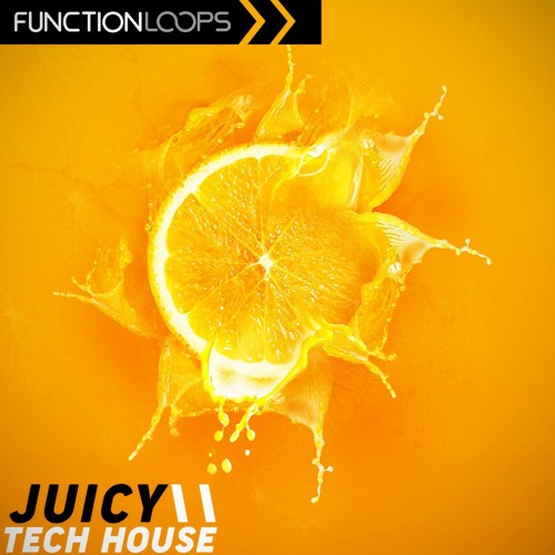 Function Loops Juicy Tech House MULTiFORMAT-FLARE