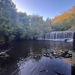 organisedchaos - Autumn Mix 2025