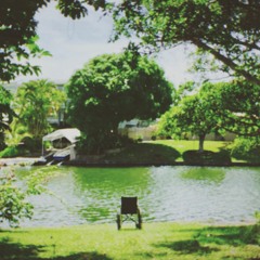 home is where the love is (nova)