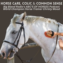 Christy Wood - Horse Care, Colic, and Common Sense