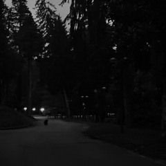 I don’t like mirrors - this was everything for me ( + iphone alarm)