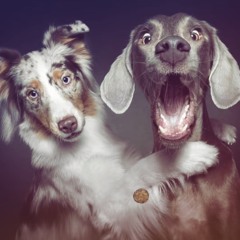 [New Leak!] Tyler, The Creator - Party Isn’t Over v1