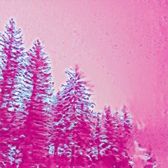 travelin mix