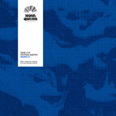 FLYING MOTH & RENATO PATRIARCA - TAKE YOU HIGHER