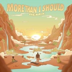 More Than I Should (Remix) [feat. Amber Navran & BYHAZE]