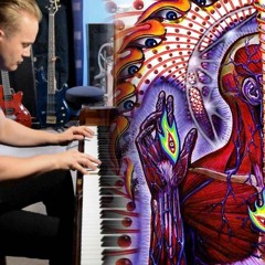 TOOL - Ticks & Leeches