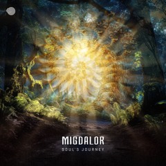 Migdalor - Vibration Generation (Original mix)