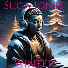 Suga Jones: Winter (vocal soulful dnb mixxxx)