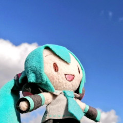 but, miku knows everything