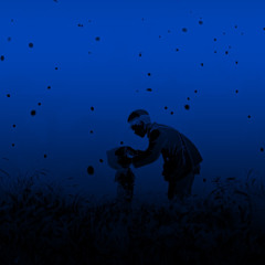 Swaying in the Twinkling Night