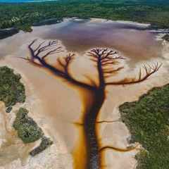 Fiona Appelle Due Organic