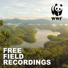 Free Field Recordings, 2022 Update