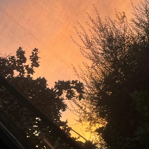 fall, the leaves turn brown (prod. dylan fletcher)