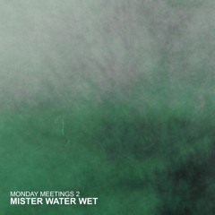 Monday Meetings 2: Mister Water Wet