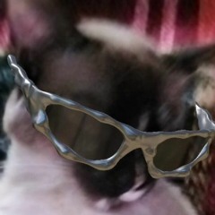 noite de megarave (mini set)