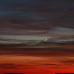 dämmerung (p. puncho)