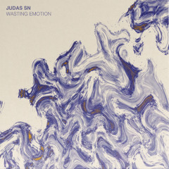 WASTING EMOTION  [SCDNGHT]