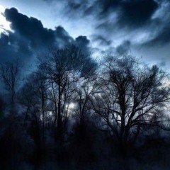 Can I Never Trust Love Again.mp3