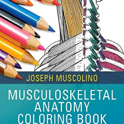 Download Download Pdf Musculoskeletal Anatomy Coloring Book By Sadomas