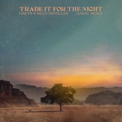 HAEVN - Trade It For The Night (Gakke Remix)