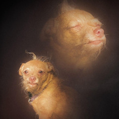 I WOULD CRY IF YOU DIED (Prod. PB)