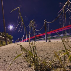 Train Rail - Davide Ferrario