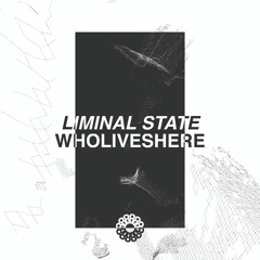 Liminal State - Wholiveshere