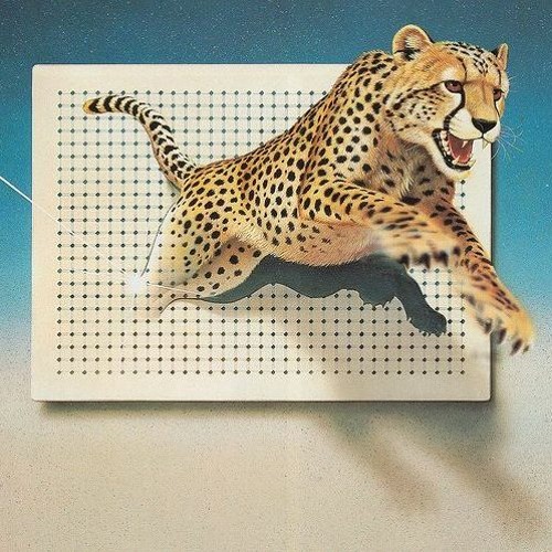NOTHING FASTER THAN A CHEETAH