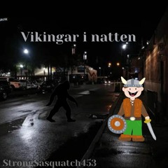 Vikingar I natten