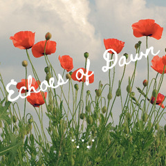 Echoes of Dawn