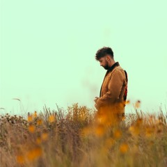 Life and Times of Xavier Robert