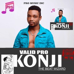 VALID PRO_KONJI