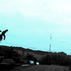 it chose not to rise