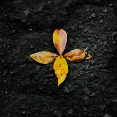 Silent Presence New Ground master bpm130