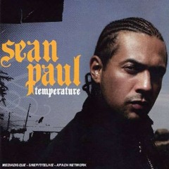Sean Paul - Temperature (LazerzF!ne Bootleg Edit)