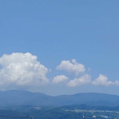 夏の日々