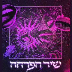 Din Cohen -Sarit Hativa - אני פרחה.mp3