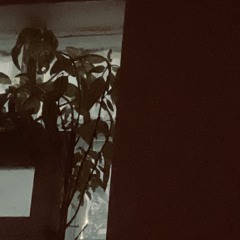 Splinter.i. (AI-Assisted)