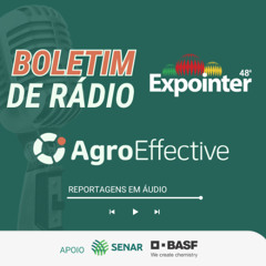 Risoto com linguiça de búfalo atrai público na Vitrine da Carne Gaúcha da Expointer
