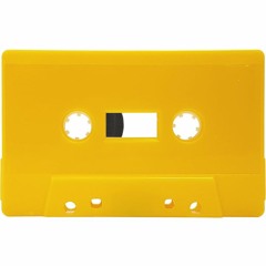 E0000012.WAV(recovered flood victim cassette recordings)[excerpt from bootlegs 3]