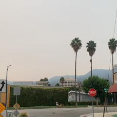 STONE MARGIELA X GIFFYS