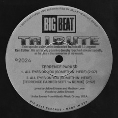 All Eyes on You (Somethin’ Here) [Terrence Parker Sept 14 Remix]
