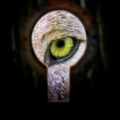 Blasting Fondas - Wolves Outside Our Door