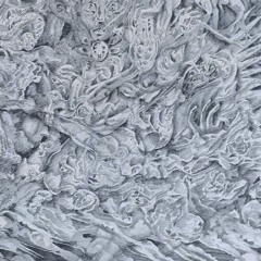 point of view