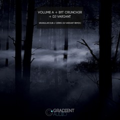 Volume A & B1t Crunch3r - Granular Dub