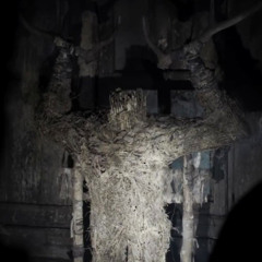 DEEP (^*^) IN THE FOREST