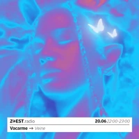 Soundcloud podcast image for Vacarme - Peste Sauvage invite Veine 